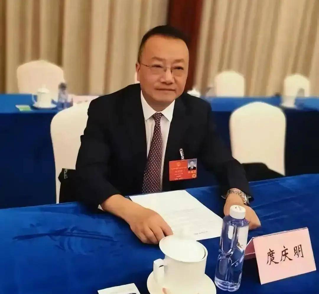 录、建立宠食强制性标准丨两会声音CQ9电子游戏统一全国禁养犬名(图3)
