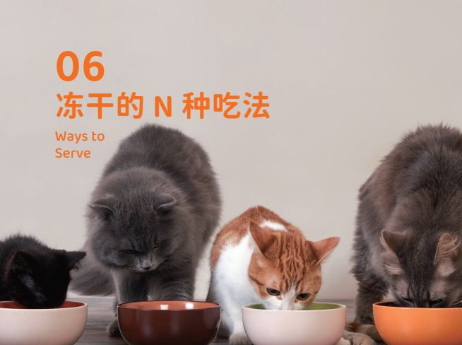 品 零食界的“黑科技”宠物冻干CQ9电子登录注册象乡宠物食(图3) 品 零食界的“黑科技”宠物冻干CQ9电子登录注册象乡宠物食(图3)