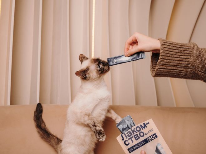 et宠物零食以昆虫蛋白开辟全新赛道CQ9电子中俄联合品牌cosmop(图2)