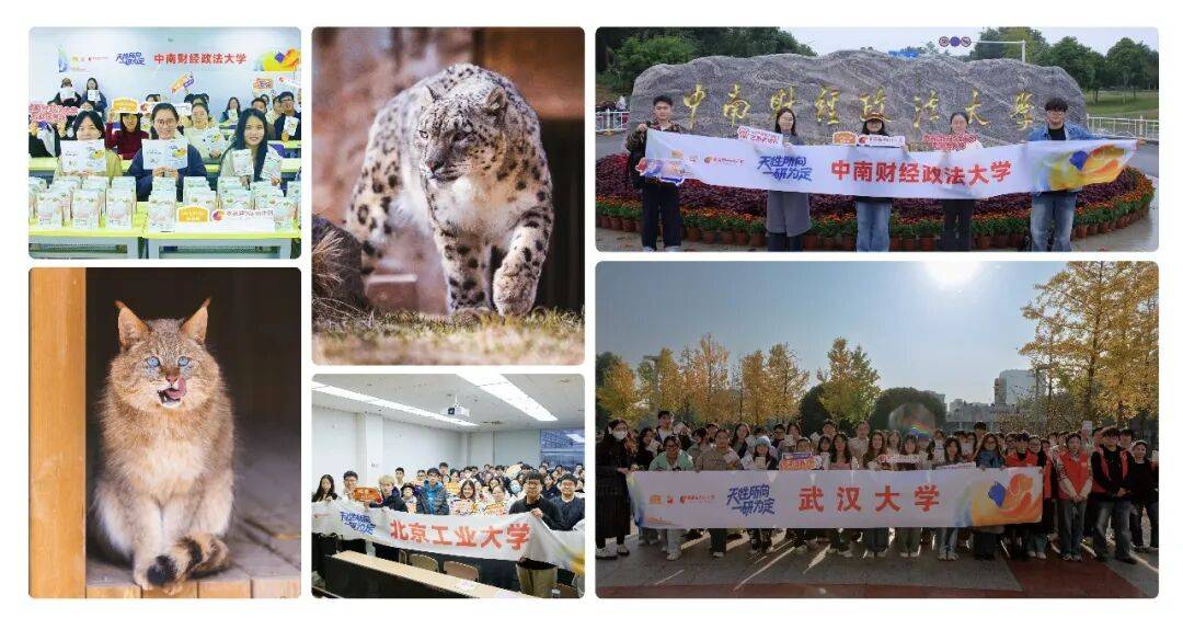 25三大关键词：科研、智造、公益CQ9电子版入口麦富迪品牌20(图3)