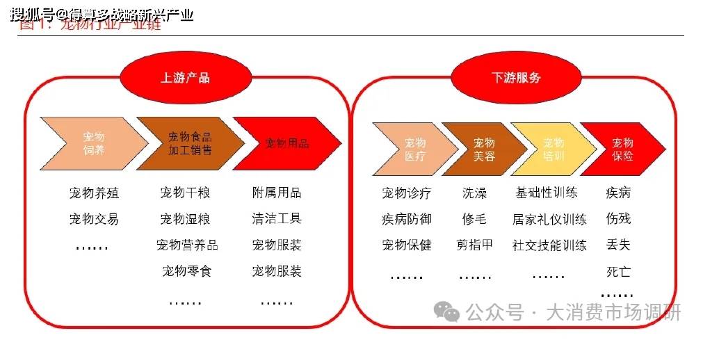 状与驱动因素分析（15页报告）CQ9电子宠物食品市场发展现