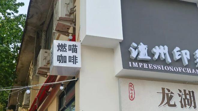 愈的角落：金融街口燃喵咖啡馆CQ9电子游戏濮阳小城最治(图3)