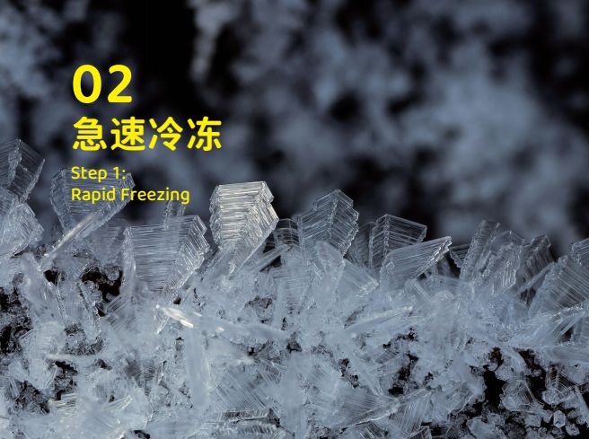 品 零食界的“黑科技”宠物冻干CQ9电子